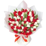 101 красный и белый тюльпан