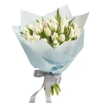 Букет из 35 тюльпанов белого цвета