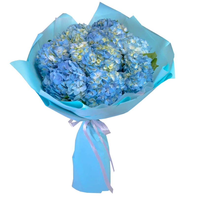 Букет из 9 синих гортензий