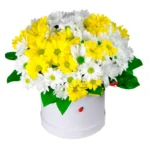 Цветы в коробке Эликсир любви