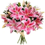Лилии розовые